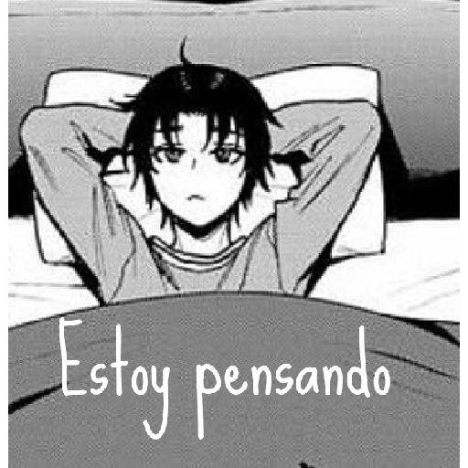 Bonito bonito  10