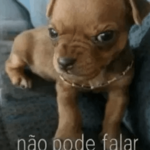 Oi posso fala 8