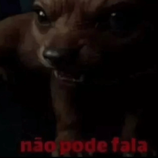 Oi posso fala 13