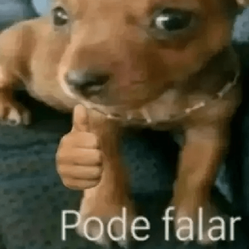 Oi posso fala 15