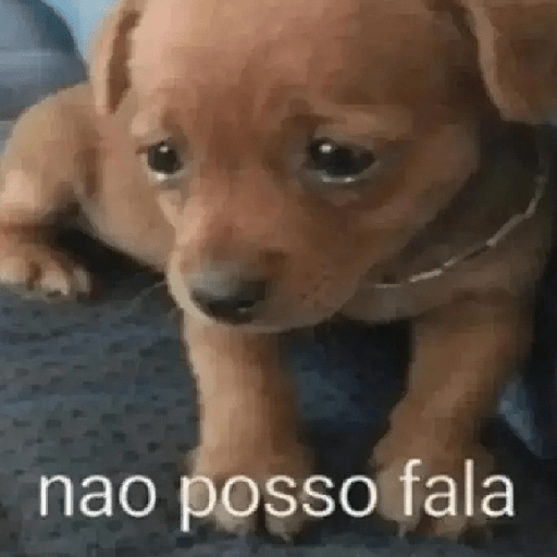 Oi posso fala 20