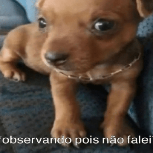 Oi posso fala 23