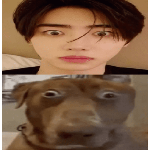 Humor ;-; 7
