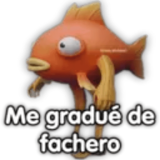 Momos 19