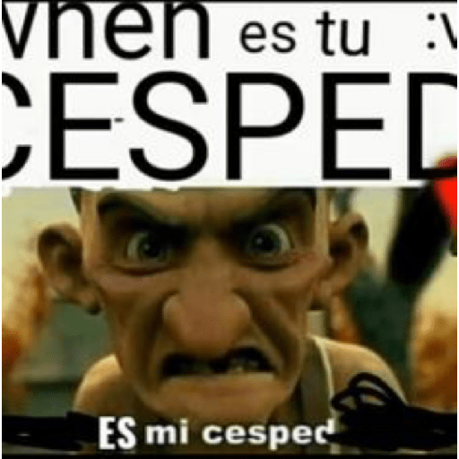 Momos 2