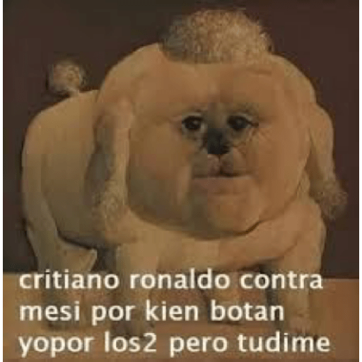Momos 10