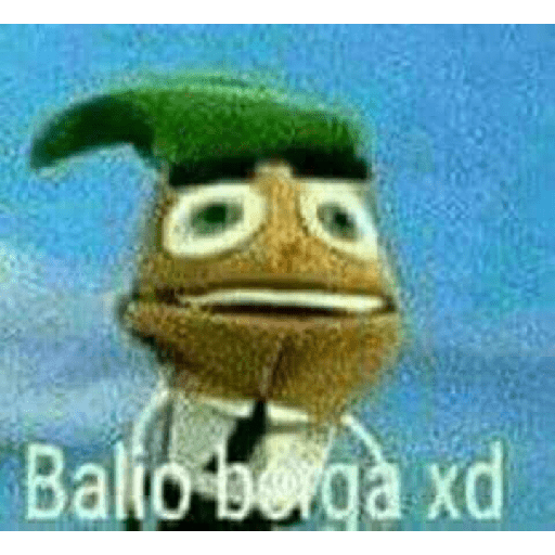 Momos 16