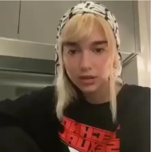 Dua Lipa 5