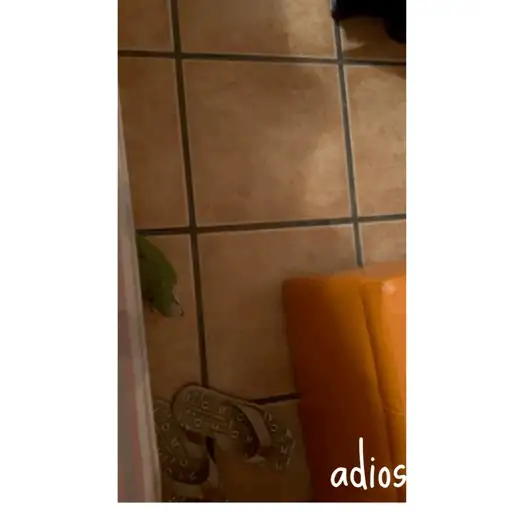 Mis pegatinas 1