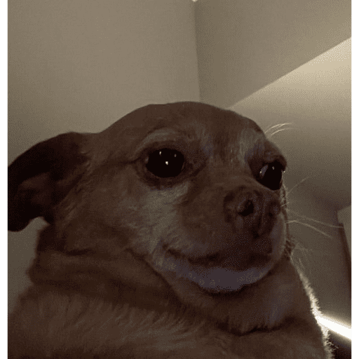استیکر