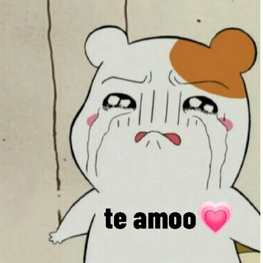 Amor 8