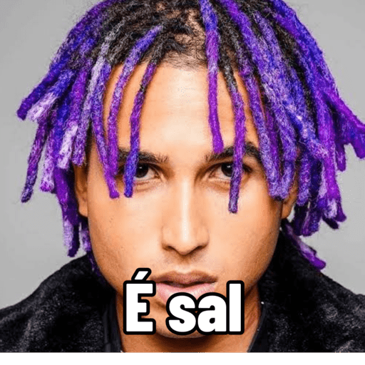 Shitzao 8
