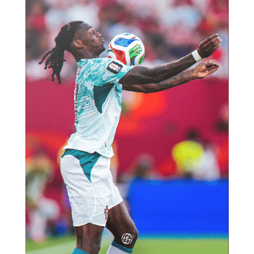 Portugal 🇵🇹 Copa do Mundo ⚽️  11