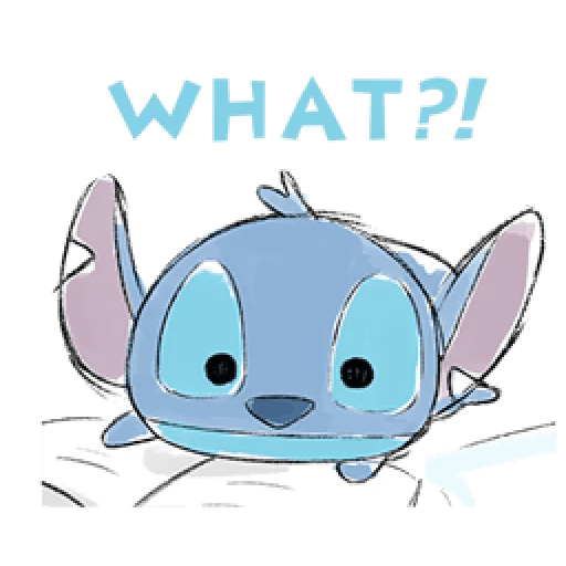 Stitch & Scrump : Winter 26