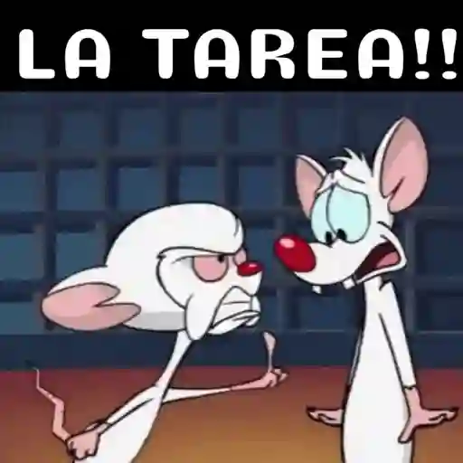 Pinkycerebro  15
