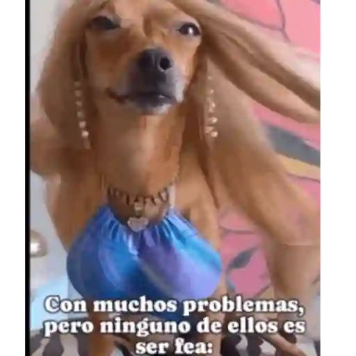 Pinkycerebro  10