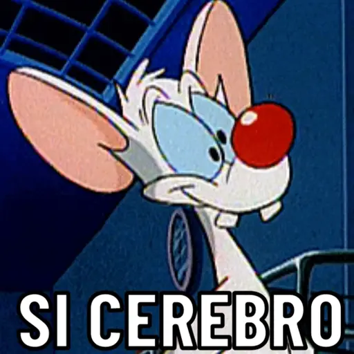 Pinkycerebro  16