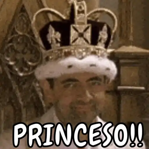 Pinkycerebro  14