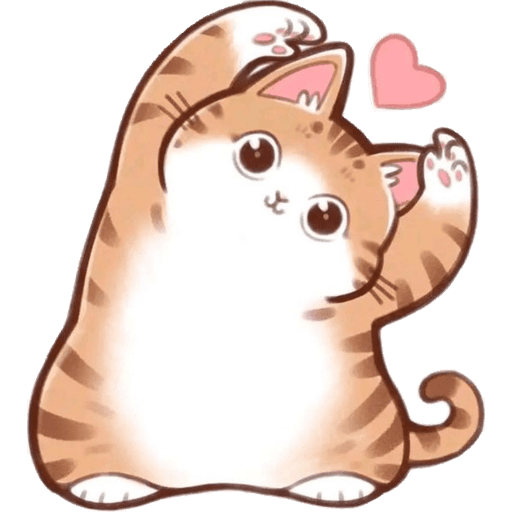 Cute Cat 2 3