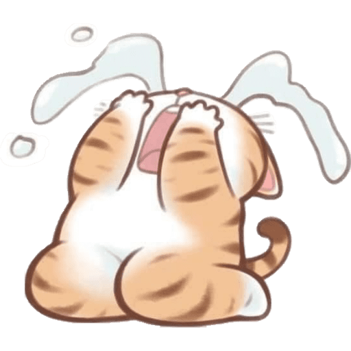 Cute Cat 2 12