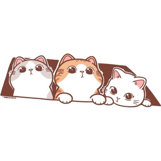 Cute Cat 2 19