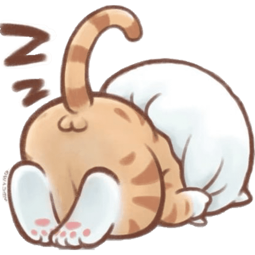 Cute Cat 2 5