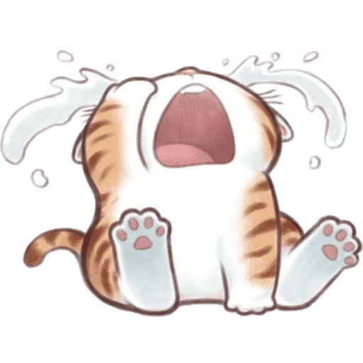 Cute Cat 2 13