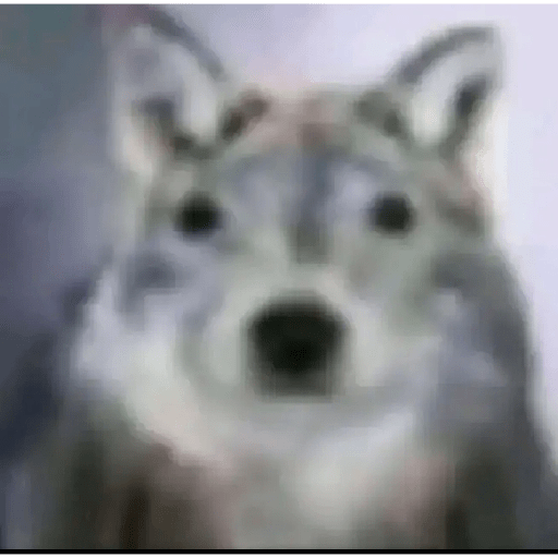 Randomisado 2 23