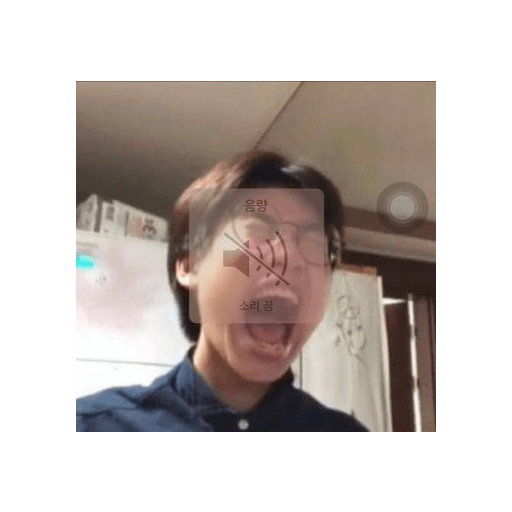 Meme 16