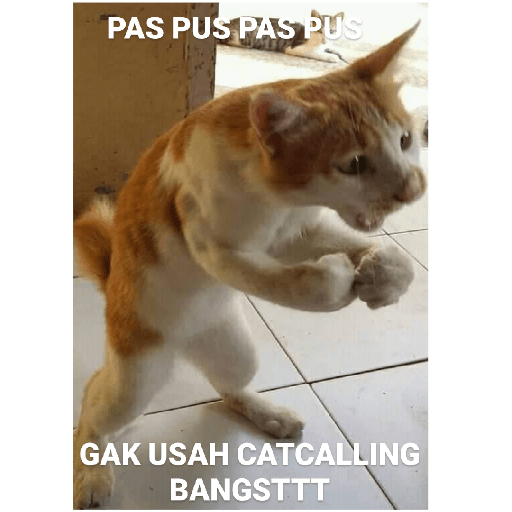 Meme 27