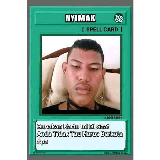 Meme 21