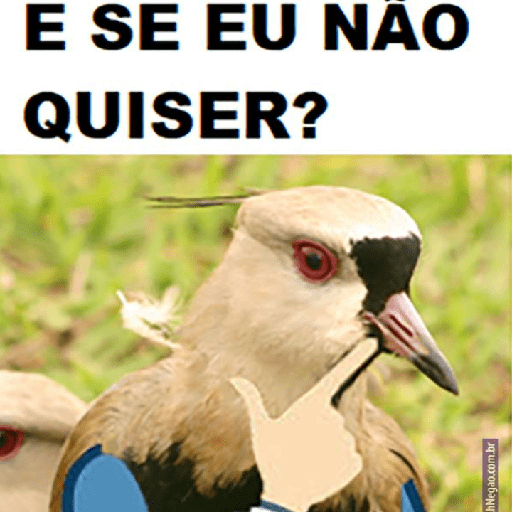 Aleatório do 13