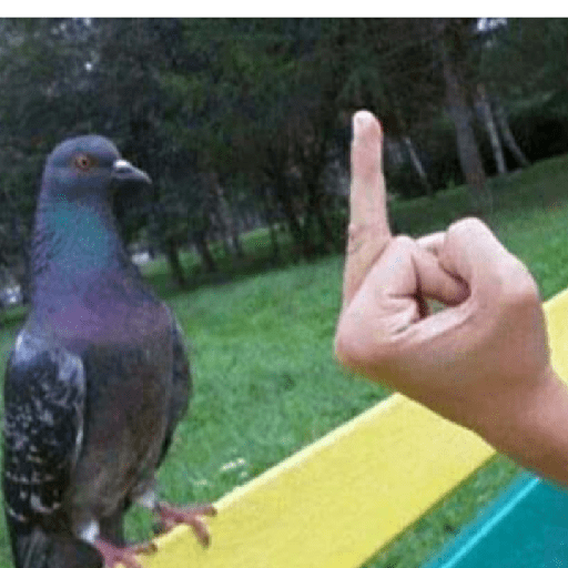 Aleatório do 26