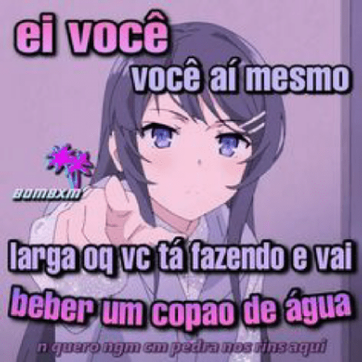 Aleatório do 19