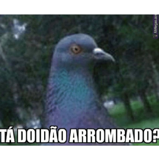 Aleatório do 25