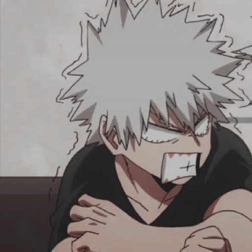 Bakugou katsuki 11