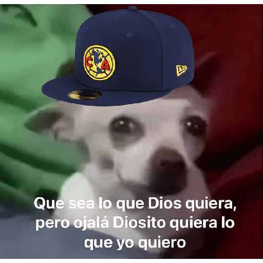 America vs cruz azul memes 🔥 15