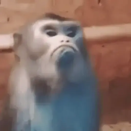 ملصق 5
