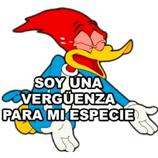 Memes pa'responder 8 15