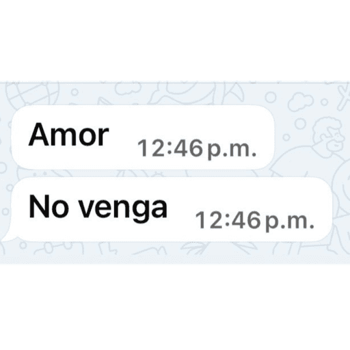 Newera2.0 26