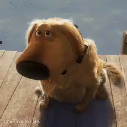 Animadas 7