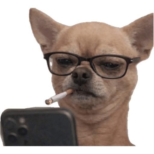 PERRITOS KJ 13
