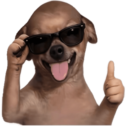 PERRITOS KJ 11