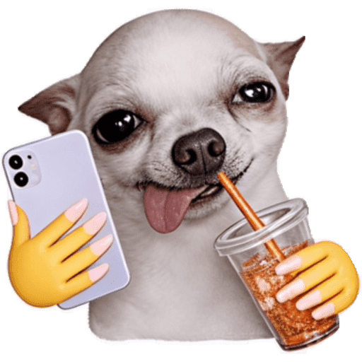 PERRITOS KJ 19