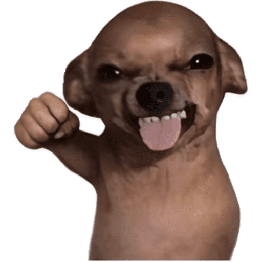 PERRITOS KJ 5