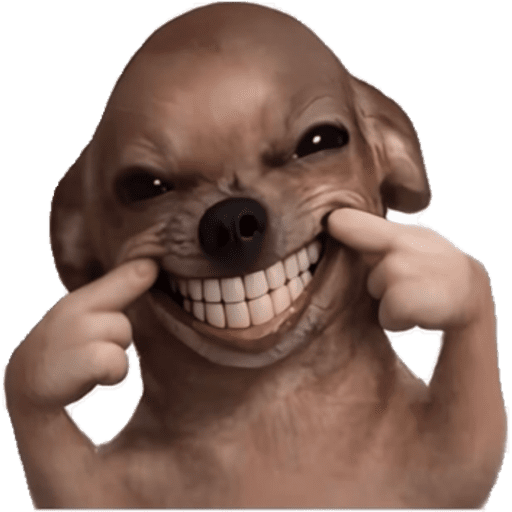 PERRITOS KJ 8