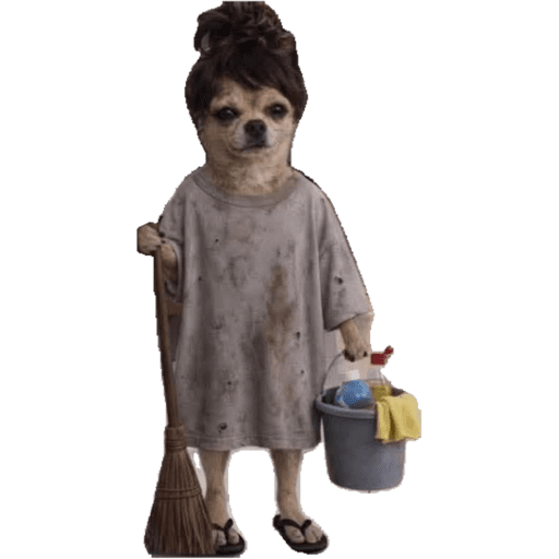 PERRITOS KJ 16
