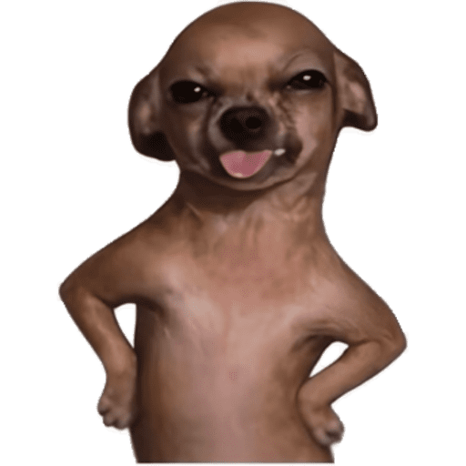 PERRITOS KJ 1