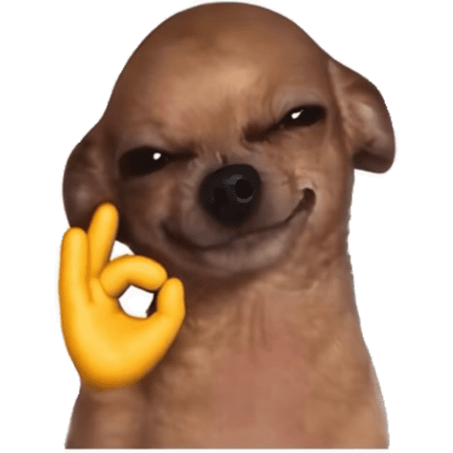 PERRITOS KJ 9