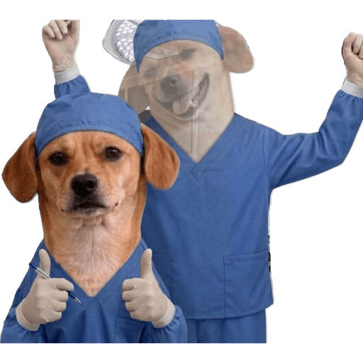 PERRITOS KJ 24